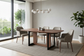 Modern dining table
